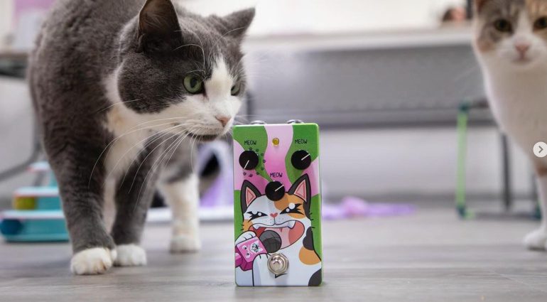 B-Music The Meowdulator: Endlich ein Katzenpedal!