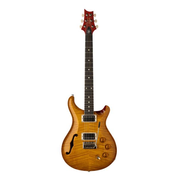 PRS DGT Semi-Hollow LTD