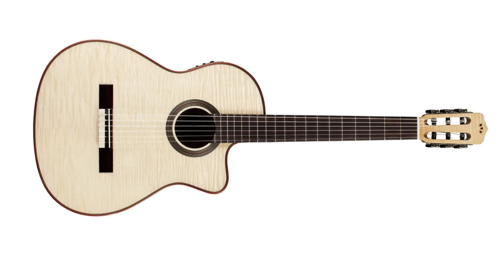 Die Fusion 12 Exotic Top Nylonsaiten Gitarre ist die optimale Wahl für alle, die traditionellen Klang mit modernem Design kombinieren möchten.