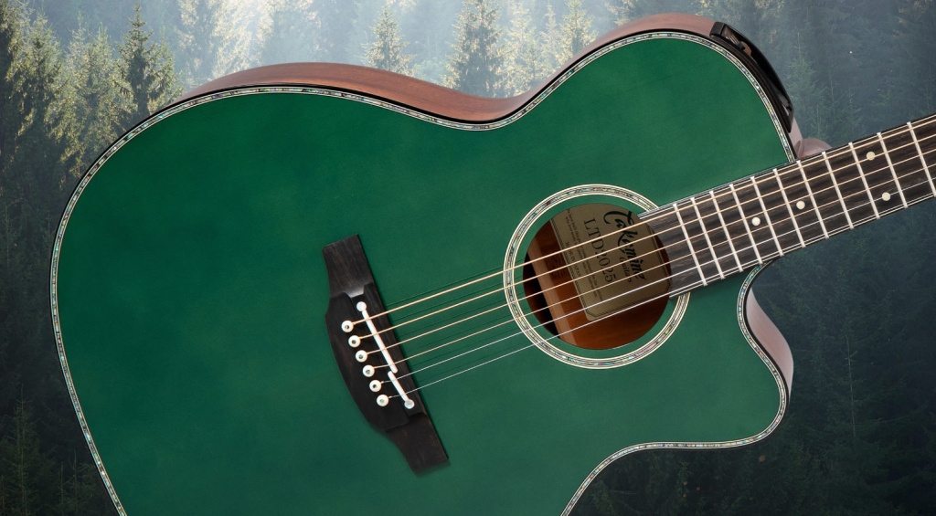 Takamine Limited Editio 2025