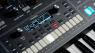 Moog, KORG, Native Instruments, Ableton: Sound-Boutique