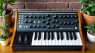 Moog Subsequent 25 ab sofort eingestellt - ein trauriger Abschied?